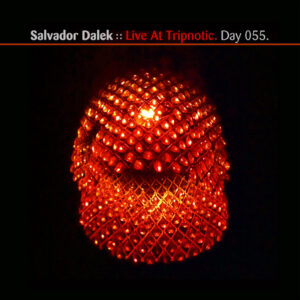 Day-055_01-Salvador-Dalek-Live-At-Tripnotic