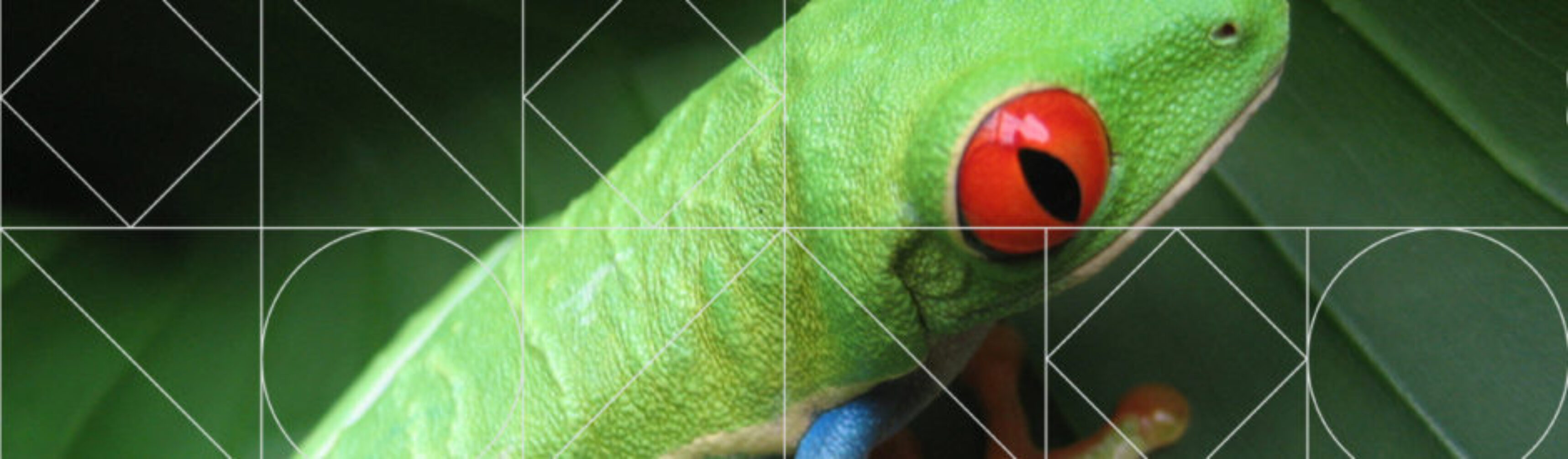 Day-056_01-Eric-Scott-Listine