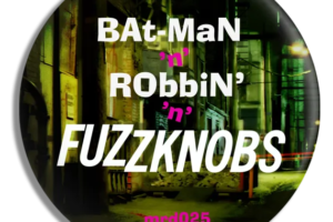 Fuzzknobs - Bat-Man 'n' Robbin' 'n' Fuzzknobs Pin